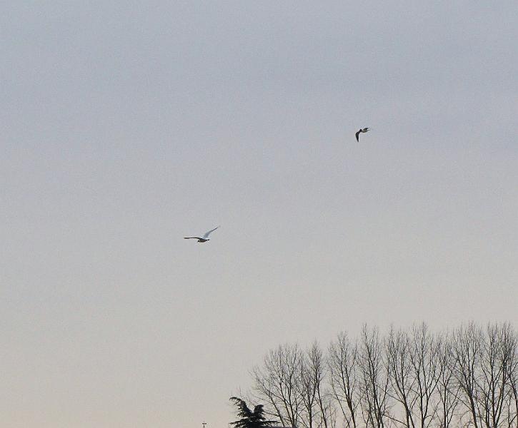 Navigeren, Maar hoe, 24-3-2013 (48).jpg
